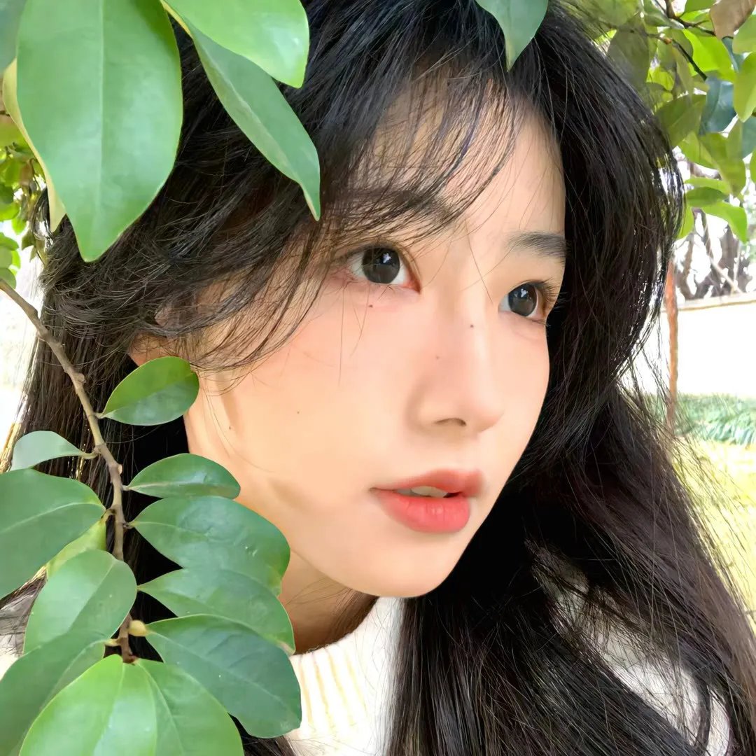 不可撤销－正序版